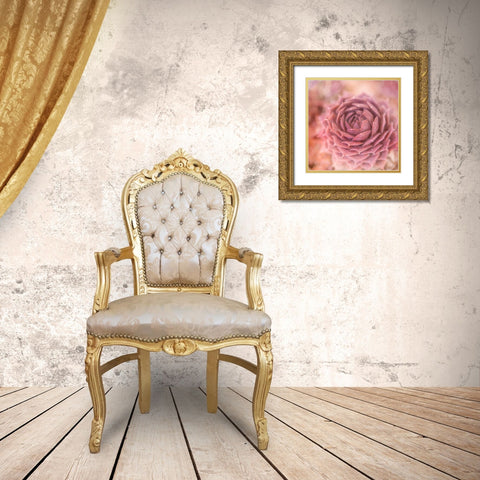 Succulents 03 Gold Ornate Wood Framed Art Print with Double Matting by LightBoxJournal