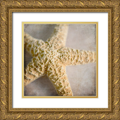 Under the Sea 03 Gold Ornate Wood Framed Art Print with Double Matting by LightBoxJournal