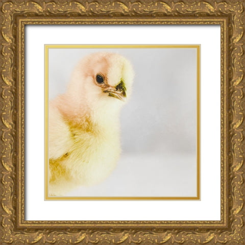 Spring Chick 01 Gold Ornate Wood Framed Art Print with Double Matting by LightBoxJournal