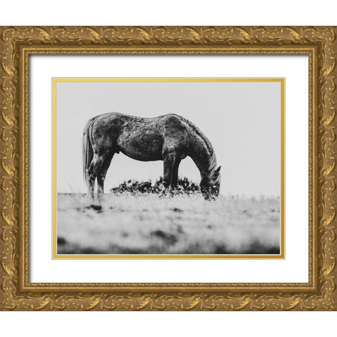 Wild Horses of the Great Basin 03 Gold Ornate Wood Framed Art Print with Double Matting by LightBoxJournal