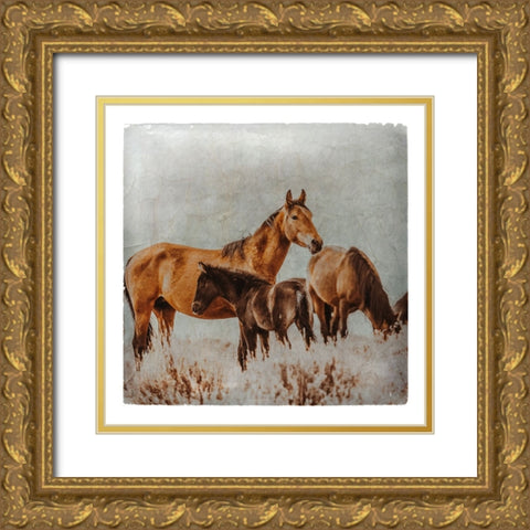 Wild Horses of the Great Basin Lomography 02 Gold Ornate Wood Framed Art Print with Double Matting by LightBoxJournal