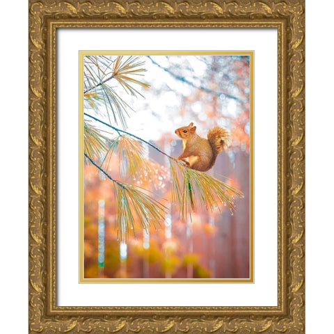 Squirrel Bokeh Gold Ornate Wood Framed Art Print with Double Matting by Love Grams