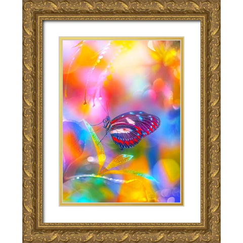 Rainbow Overlays Gold Ornate Wood Framed Art Print with Double Matting by Love Grams