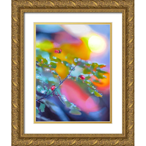 The Ladybugs Gold Ornate Wood Framed Art Print with Double Matting by Love Grams