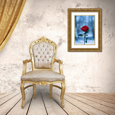 Winter Rose Gold Ornate Wood Framed Art Print with Double Matting by Love Grams