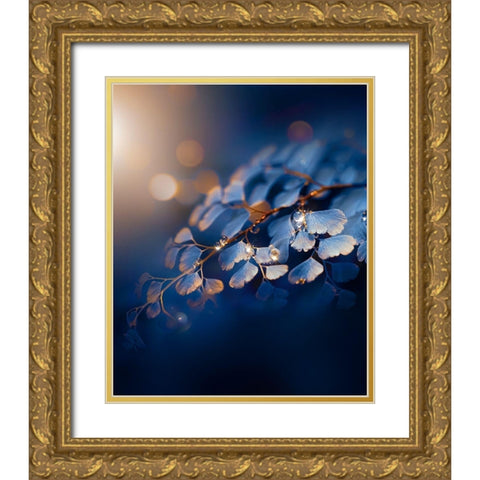 IMG_7585 Gold Ornate Wood Framed Art Print with Double Matting by Love Grams