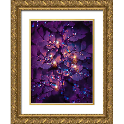IMG_7591 Gold Ornate Wood Framed Art Print with Double Matting by Love Grams