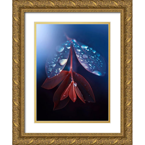 IMG_7595 Gold Ornate Wood Framed Art Print with Double Matting by Love Grams