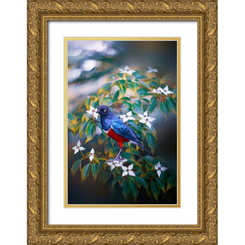 Dark Memory Gold Ornate Wood Framed Art Print with Double Matting by Love Grams