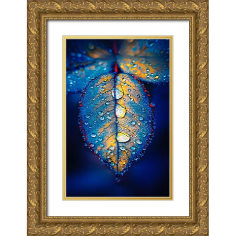 Drops of Jupiter Gold Ornate Wood Framed Art Print with Double Matting by Love Grams