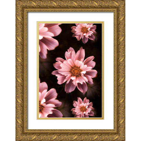 Floral Pattern Gold Ornate Wood Framed Art Print with Double Matting by Love Grams