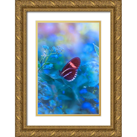 Forget Me Not Gold Ornate Wood Framed Art Print with Double Matting by Love Grams