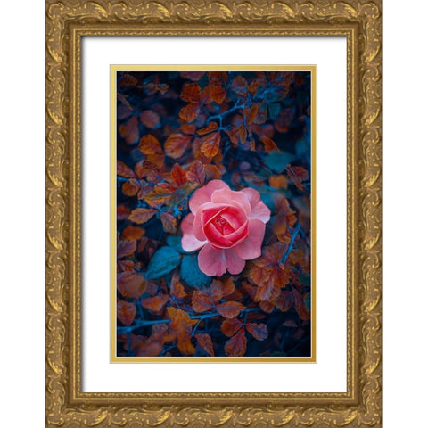 If There Be Thorns Gold Ornate Wood Framed Art Print with Double Matting by Love Grams