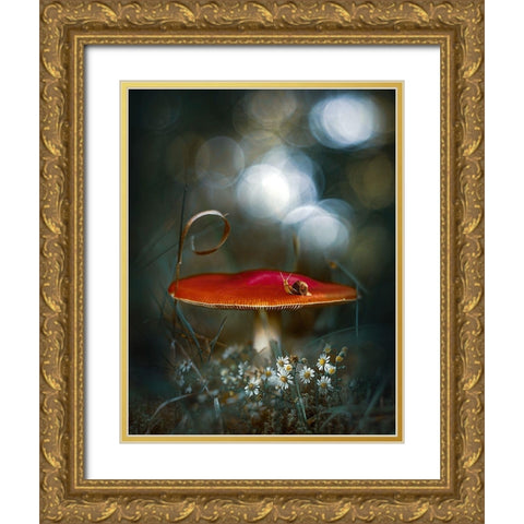 Mushroom Fantasy Gold Ornate Wood Framed Art Print with Double Matting by Love Grams