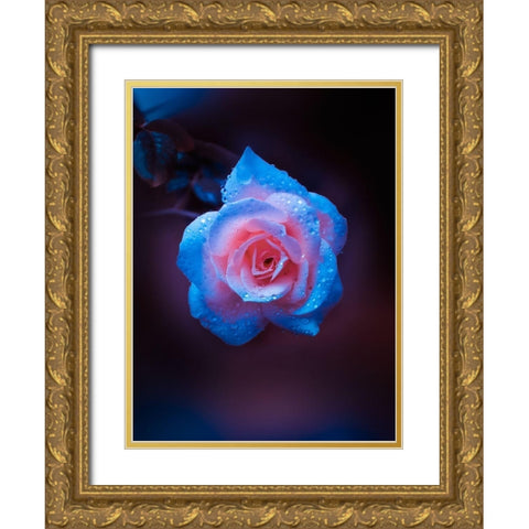Rose Drops Gold Ornate Wood Framed Art Print with Double Matting by Love Grams