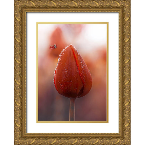 Tulips at Dawn Gold Ornate Wood Framed Art Print with Double Matting by Love Grams