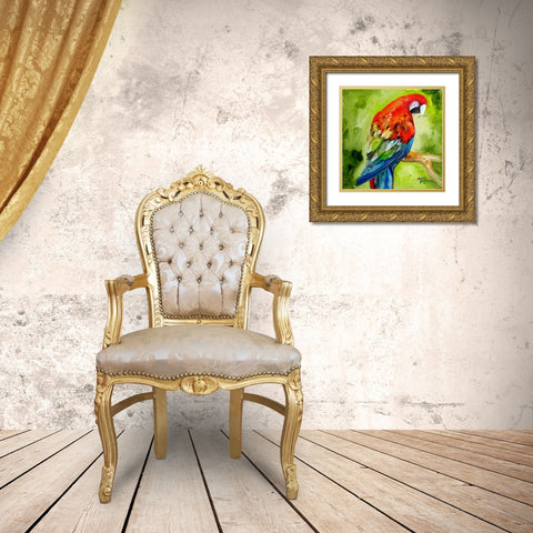 Macaw Tropical Gold Ornate Wood Framed Art Print with Double Matting by Baldwin, Marcia
