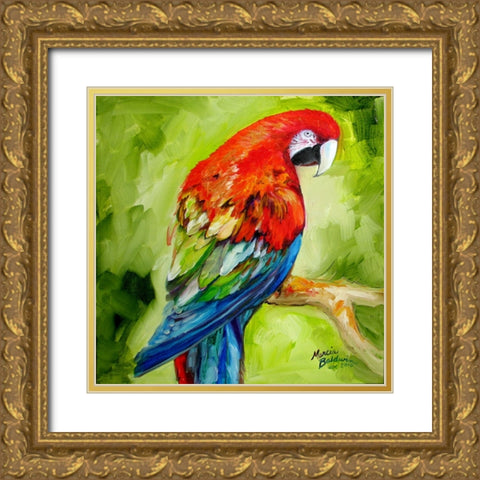 Macaw Tropical Gold Ornate Wood Framed Art Print with Double Matting by Baldwin, Marcia