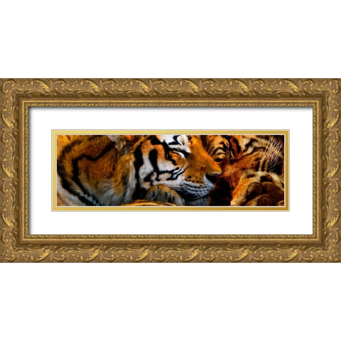 Tigers Sleep Gold Ornate Wood Framed Art Print with Double Matting by Murray Henderson Fine Art