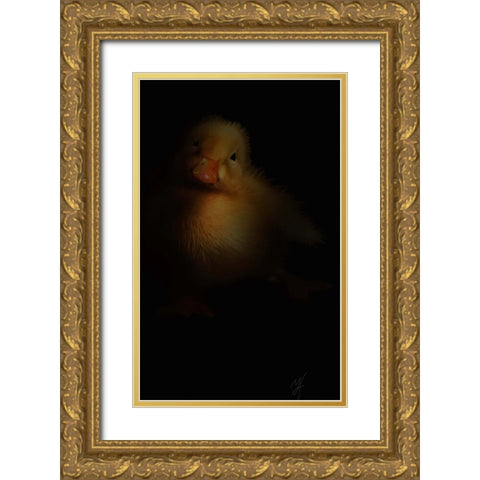 Duckling Gold Ornate Wood Framed Art Print with Double Matting by Murray Henderson Fine Art