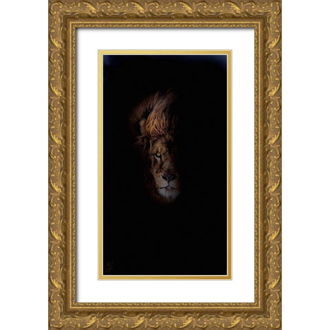 Lion Gold Ornate Wood Framed Art Print with Double Matting by Murray Henderson Fine Art