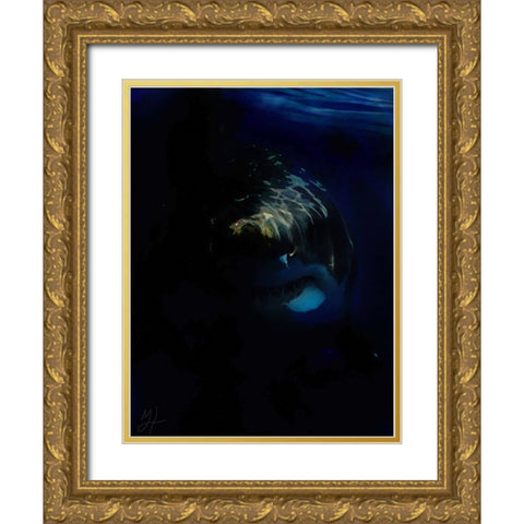 Shark Shadows (1) Gold Ornate Wood Framed Art Print with Double Matting by Murray Henderson Fine Art