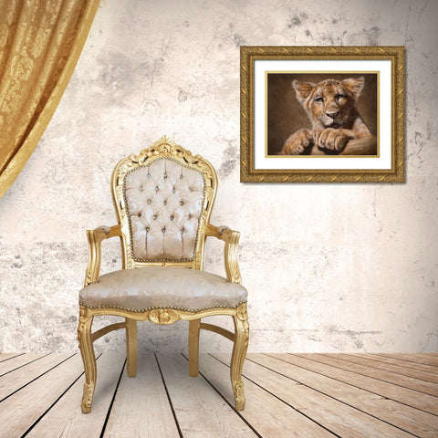 Lion Cub Gold Ornate Wood Framed Art Print with Double Matting by LaMontagne, Patrick