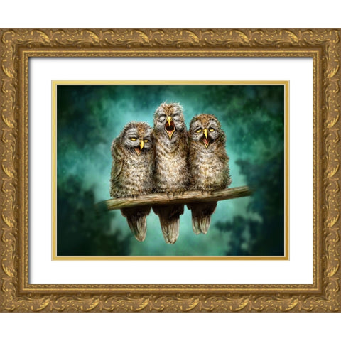 One Hoot Wonders Gold Ornate Wood Framed Art Print with Double Matting by LaMontagne, Patrick