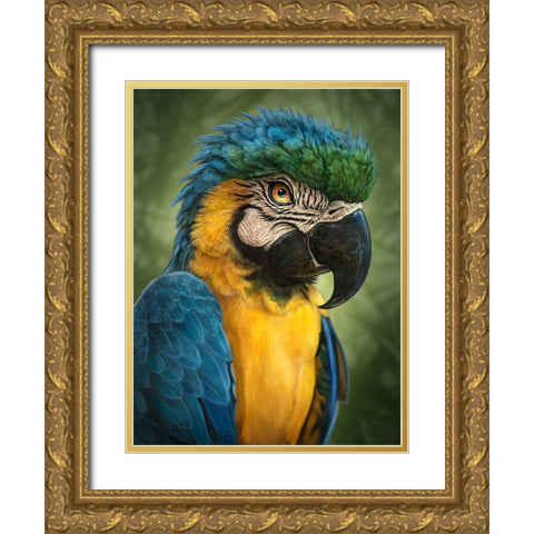 Parrot Totem Gold Ornate Wood Framed Art Print with Double Matting by LaMontagne, Patrick