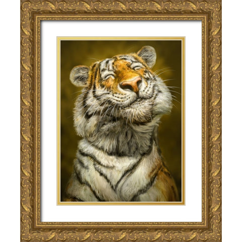 Smiling Tiger Gold Ornate Wood Framed Art Print with Double Matting by LaMontagne, Patrick