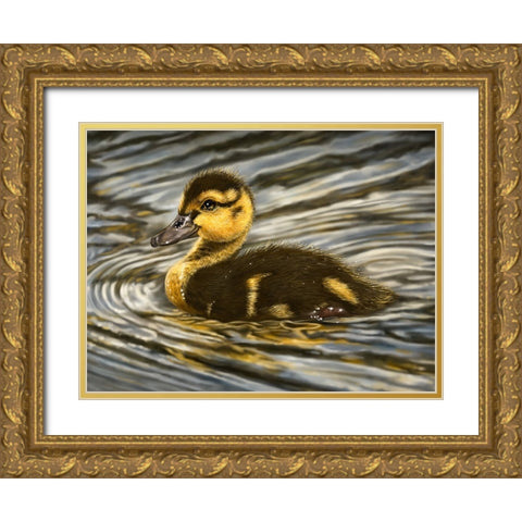 Duckling Gold Ornate Wood Framed Art Print with Double Matting by LaMontagne, Patrick