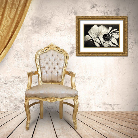 B037 Flowers Black White Gold Ornate Wood Framed Art Print with Double Matting by Heere, Ray