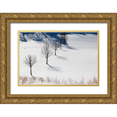 Winter Field Silhouettes Gold Ornate Wood Framed Art Print with Double Matting by Goldwitz, Robert