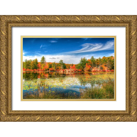 Harriman Pond Gold Ornate Wood Framed Art Print with Double Matting by Goldwitz, Robert
