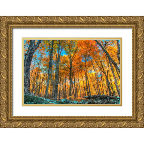 Winding Hills Park Gold Ornate Wood Framed Art Print with Double Matting by Goldwitz, Robert