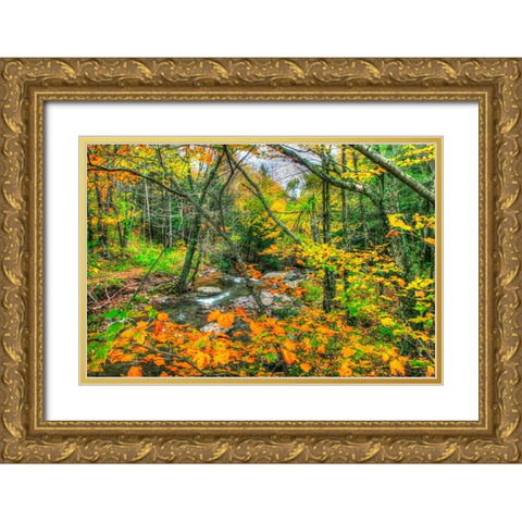 Fall Brook Orange Fo Gold Ornate Wood Framed Art Print with Double Matting by Goldwitz, Robert