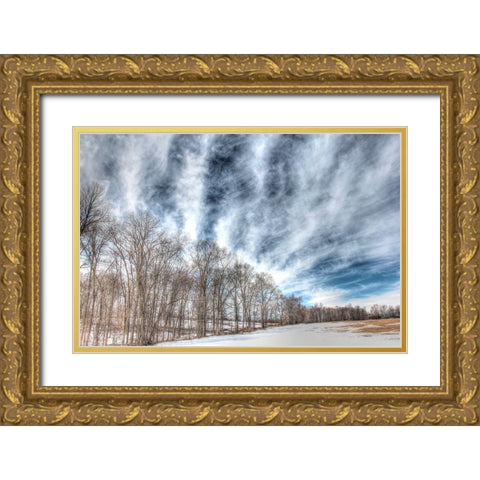Winter Treeline Gold Ornate Wood Framed Art Print with Double Matting by Goldwitz, Robert