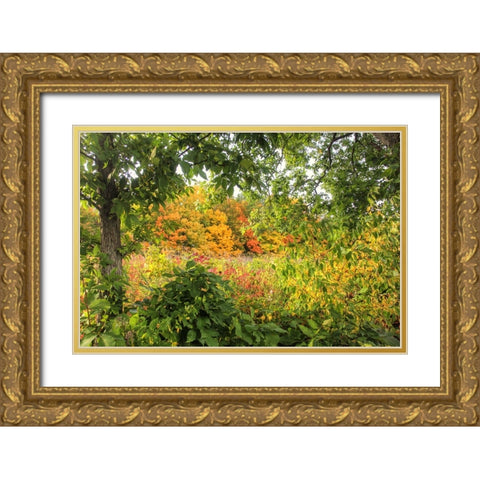 Autumn Colors Gold Ornate Wood Framed Art Print with Double Matting by Goldwitz, Robert