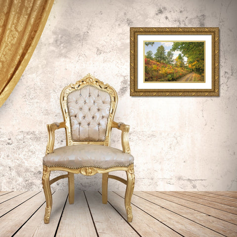 Autumn Path Gold Ornate Wood Framed Art Print with Double Matting by Goldwitz, Robert
