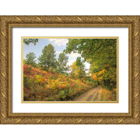Autumn Path Gold Ornate Wood Framed Art Print with Double Matting by Goldwitz, Robert