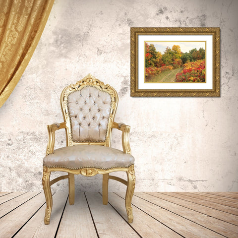 Brilliant Hillside Gold Ornate Wood Framed Art Print with Double Matting by Goldwitz, Robert