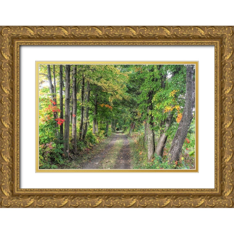 Carriage Path Gold Ornate Wood Framed Art Print with Double Matting by Goldwitz, Robert