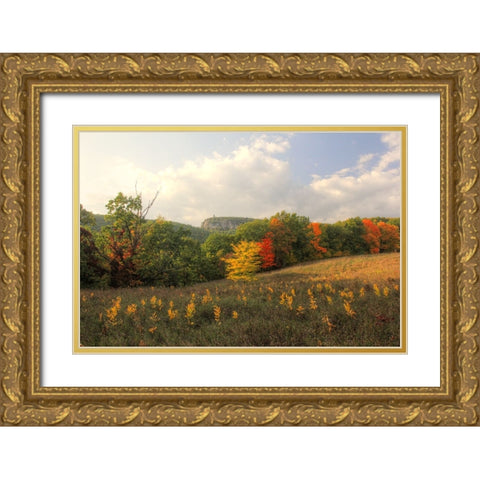 Mohonk Autumn Gold Ornate Wood Framed Art Print with Double Matting by Goldwitz, Robert