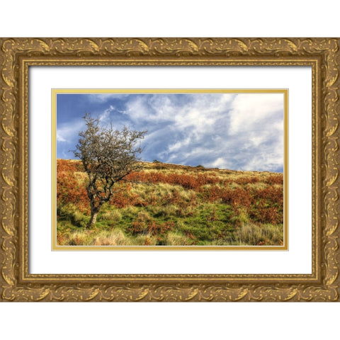 Wales Hillside and Sky Gold Ornate Wood Framed Art Print with Double Matting by Goldwitz, Robert