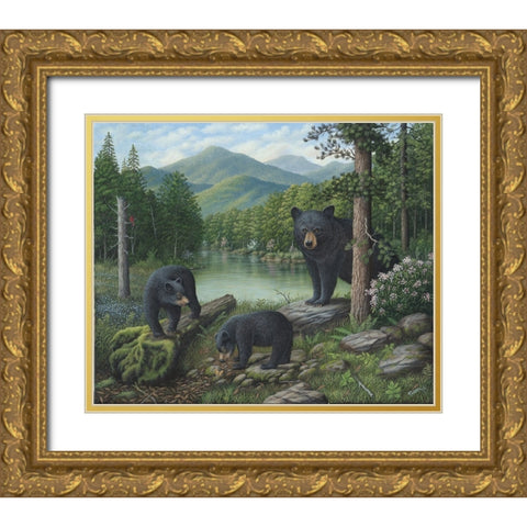Watching The Cubs Play Gold Ornate Wood Framed Art Print with Double Matting by Wavra, Robert