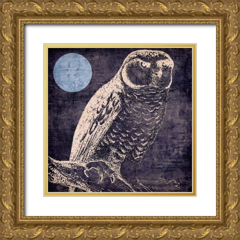 Owl 1 Gold Ornate Wood Framed Art Print with Double Matting by Sasha