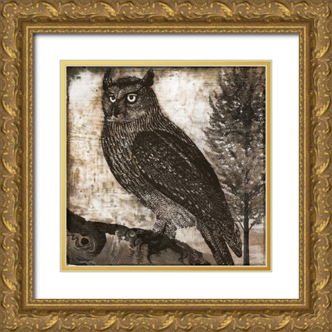 Owl 2 Gold Ornate Wood Framed Art Print with Double Matting by Sasha