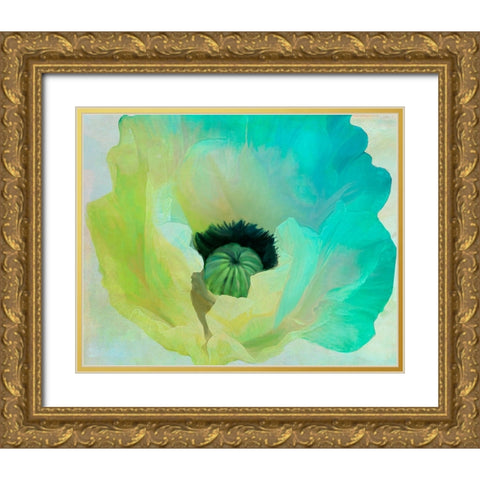 Poppy Gradient I Gold Ornate Wood Framed Art Print with Double Matting by Sasha