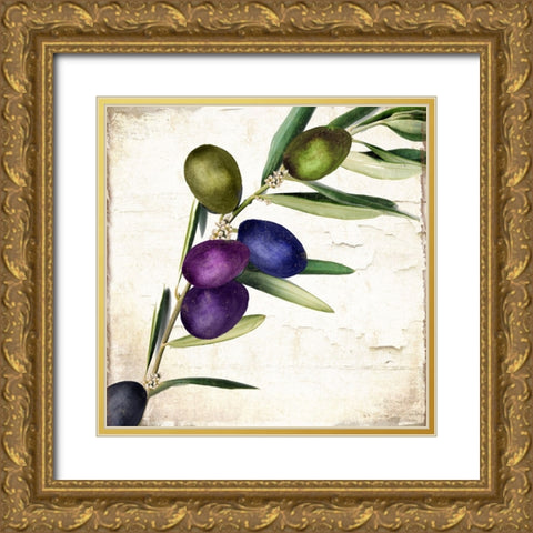 Olive Branch III Gold Ornate Wood Framed Art Print with Double Matting by Sasha