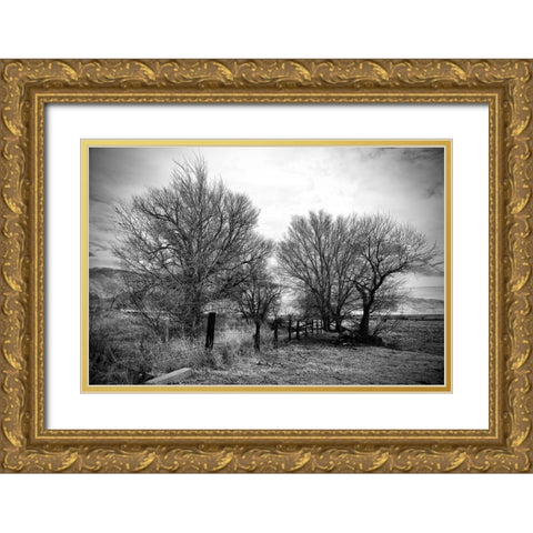 Trees Near A Fence Gold Ornate Wood Framed Art Print with Double Matting by Susan Vizvary Photography